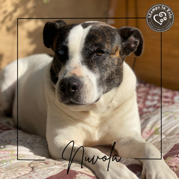 4452c6ae-e5fa-41fa-b28d-a67f2a29498c