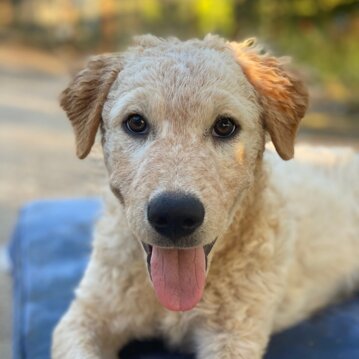 4c16f919-13f8-4f31-87ef-8fce5260ac27