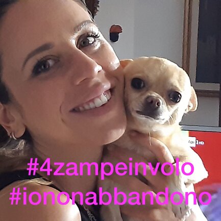 #4zampeinvolo 4 Zampe in Volo - No all'Abbandono