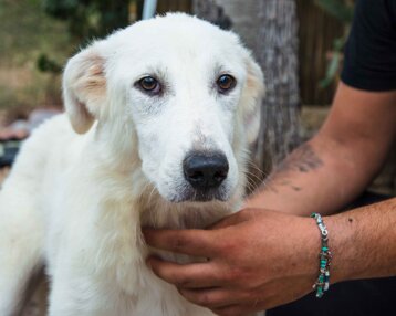 dc0f179c-10e8-4a8c-9591-f331ccf5fd04