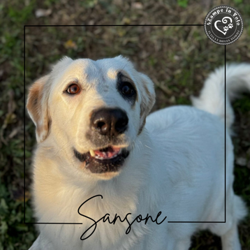 1330496b-7810-4936-a0d6-6f43be263e80