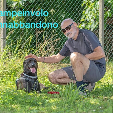 #4zampeinvolo 4 Zampe in Volo - No all'Abbandono