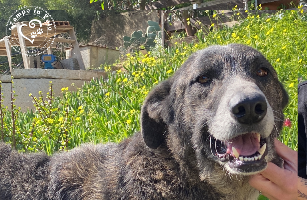 12a5c19c-412f-43e2-90df-e5665e27dbf0