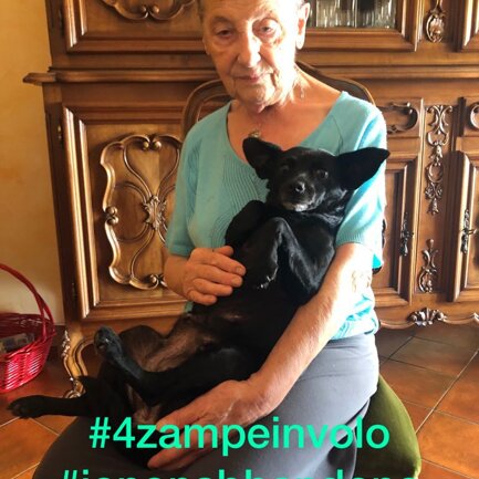 #4zampeinvolo 4 Zampe in Volo - No all'Abbandono