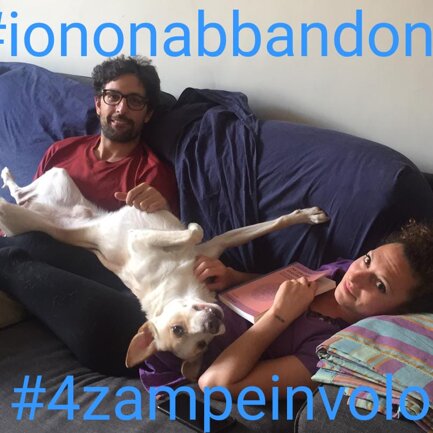 #4zampeinvolo 4 Zampe in Volo - No all'Abbandono