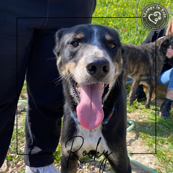 c469b0c2-0665-473e-adc9-3a8db5ab0ce3