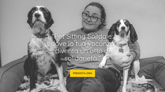 7ecaa9f0-713c-4866-802d-da9e83c1195c