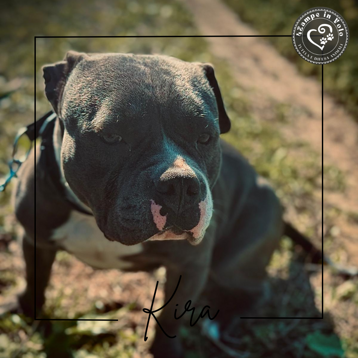 8c3b66d2-8706-4aab-8fc2-f66d800a4bc6