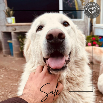 bccc6d78-94e6-4880-afbb-2a4d0faad80d