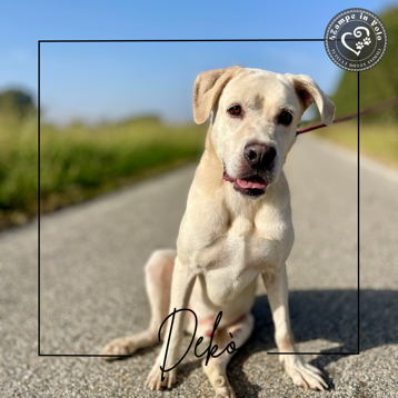 d49138ba-a999-4b5c-bdc0-3ef78251463b