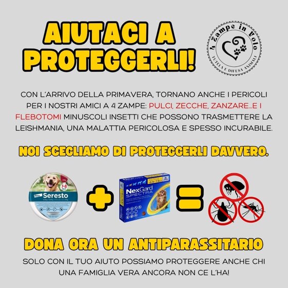 97d2a702-2b49-4599-a6ec-e8bd9d3f4dc9