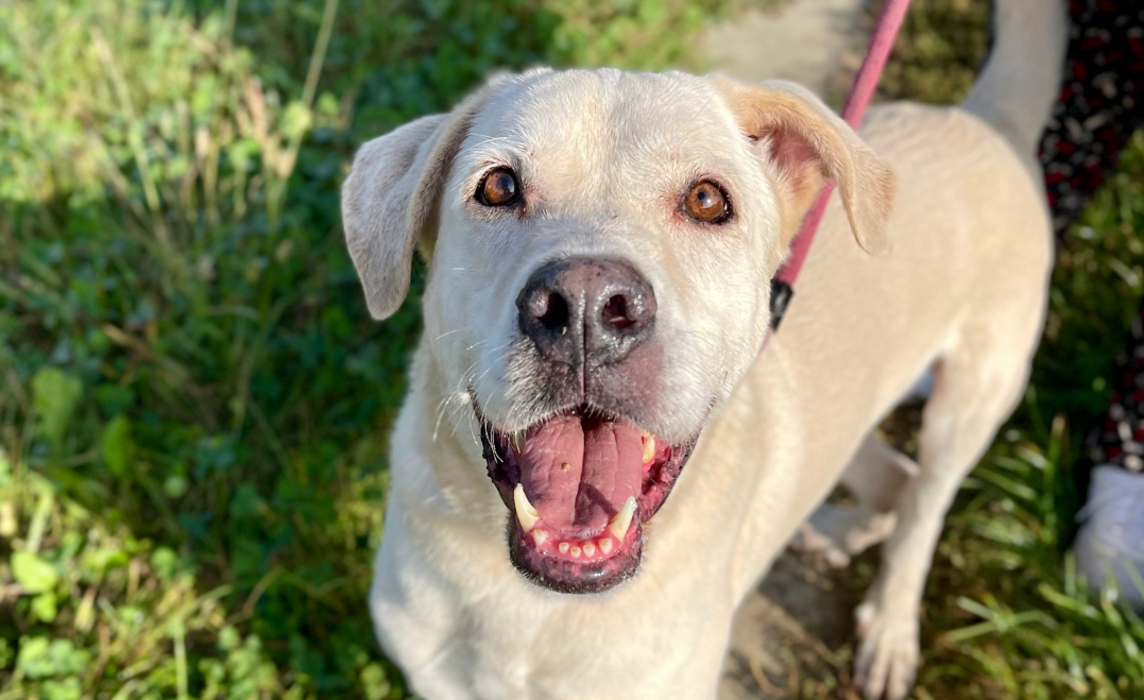 4189d041-6673-4633-9e69-47bd74d0df1a