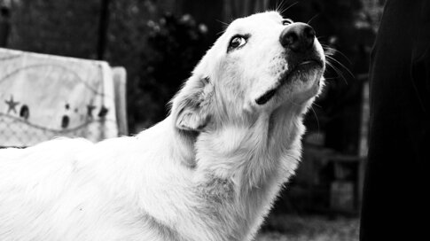 7b299d54-3cae-4f0f-87ae-bddadb6a7a5e