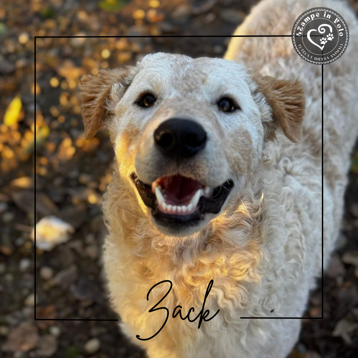 22e23e03-9988-48e7-9dbf-68efece41091