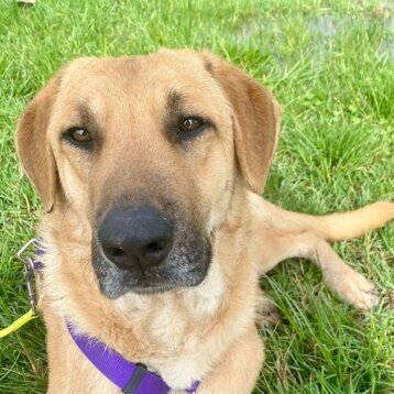 552319f1-5c61-4777-a6d8-a42721feb136