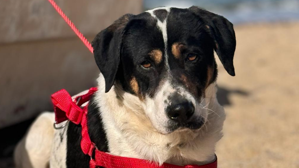 ee1e1528-ba31-4607-a2aa-534552b334ec