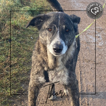 94e96216-d42f-45ab-b4fe-2f1ebe61a562