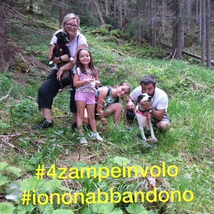 #4zampeinvolo 4 Zampe in Volo - No all'Abbandono
