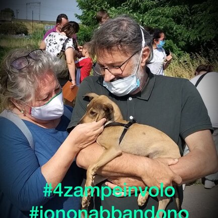 #4zampeinvolo 4 Zampe in Volo - No all'Abbandono