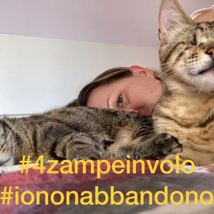 #4zampeinvolo 4 Zampe in Volo - No all'Abbandono