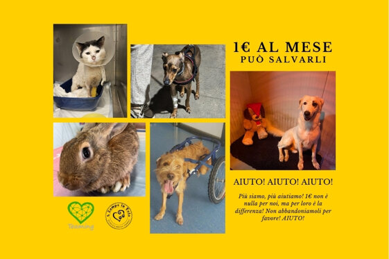 655ef4aa-faf6-47ba-a82a-96caa678aafc