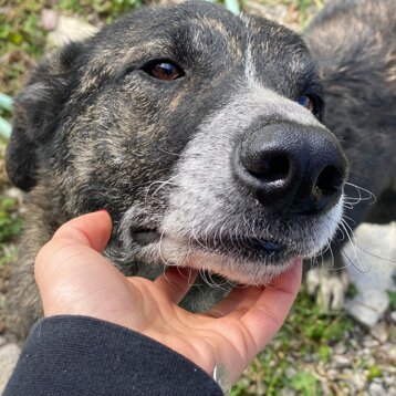 5d4a5b79-c415-4b87-b946-a46174083a7c