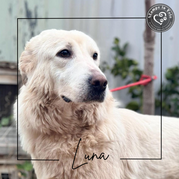 ee6b1b4c-0c9a-494e-bad5-2d84f4f7d45c