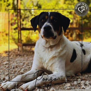 859e1765-3cd1-4db6-9fd9-b0787ad8d989