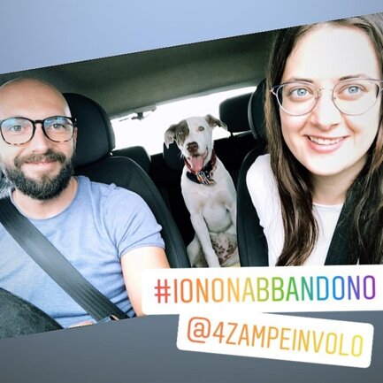 #4zampeinvolo 4 Zampe in Volo - No all'Abbandono