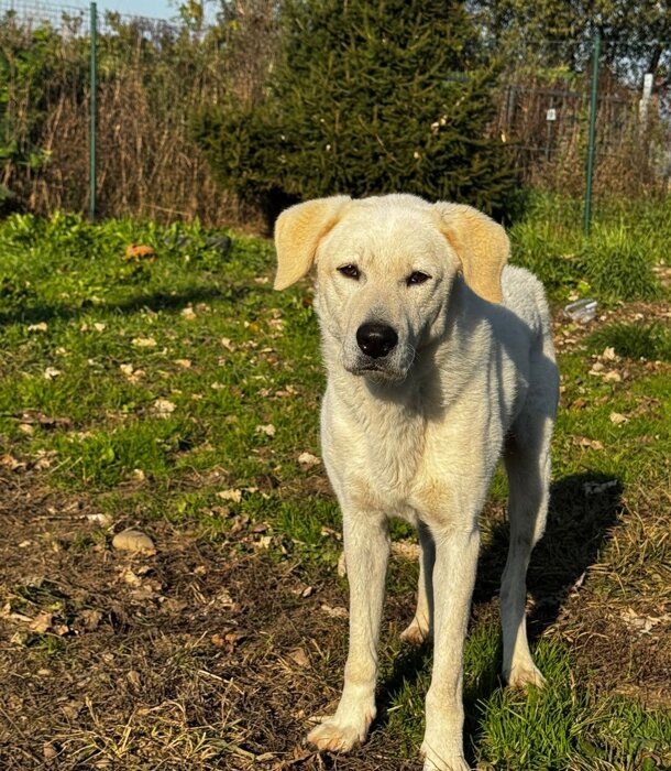 2d1d4ac3-64cb-440c-9f2a-00e24319cfae.jpeg 2d1d4ac3-64cb-440c-9f2a-00e24319cfae.jpeg