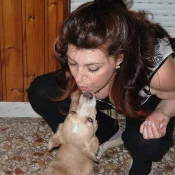 adc064b5-3970-4f05-af71-f806bf1c81fe