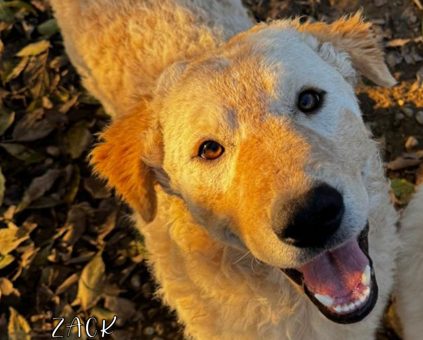 46d4cbe5-9c65-4fb2-bc4f-2824c9ecf9e3 46d4cbe5-9c65-4fb2-bc4f-2824c9ecf9e3