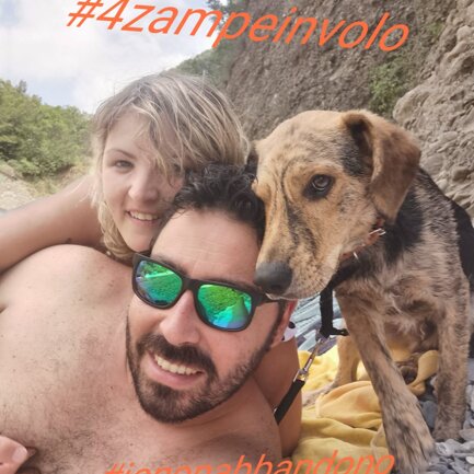 #4zampeinvolo 4 Zampe in Volo - No all'Abbandono