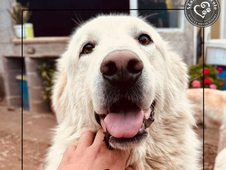 19260611-0d35-450e-8c0e-34fc0d6b0fb3 19260611-0d35-450e-8c0e-34fc0d6b0fb3