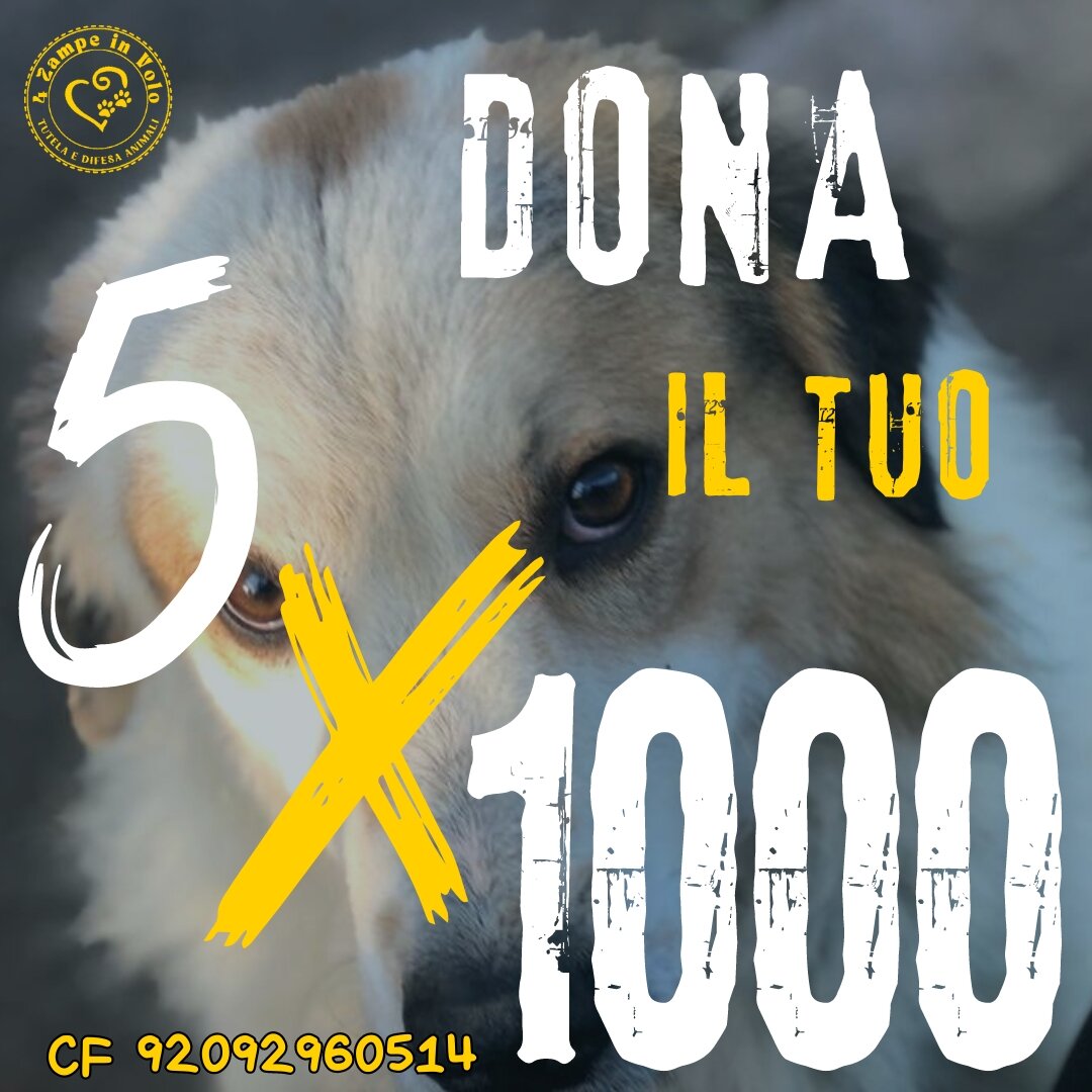 1c8aa0bb-201a-46c8-a0e6-5b186ec03e8a