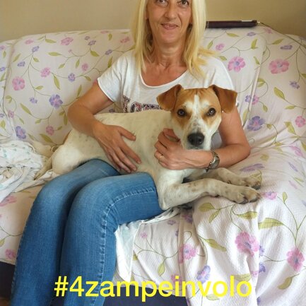 #4zampeinvolo 4 Zampe in Volo - No all'Abbandono