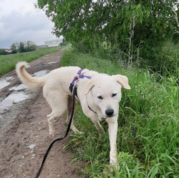 93d96093-f239-4c8b-804a-3ded17e6b952