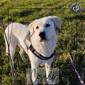 9ec813b1-8f88-4e30-8e15-5caa12bc20ea