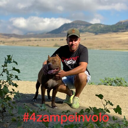 #4zampeinvolo 4 Zampe in Volo - No all'Abbandono