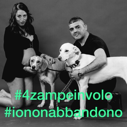 #4zampeinvolo 4 Zampe in Volo - No all'Abbandono