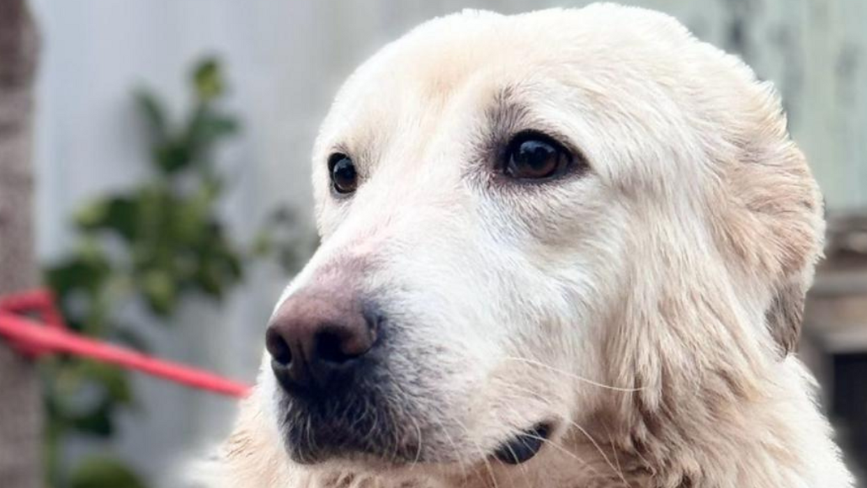 86124968-e568-461e-aea0-89f99be1e34b 86124968-e568-461e-aea0-89f99be1e34b