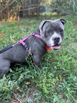 whatsapp image 2025-05-29 at 09.40.59.jpeg