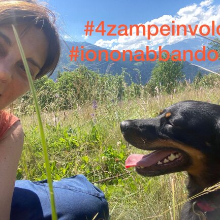 #4zampeinvolo 4 Zampe in Volo - No all'Abbandono