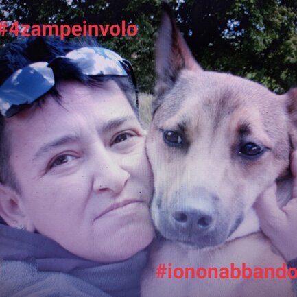 #4zampeinvolo 4 Zampe in Volo - No all'Abbandono