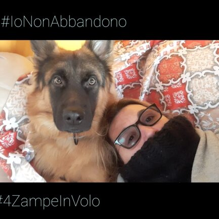 #4zampeinvolo 4 Zampe in Volo - No all'Abbandono