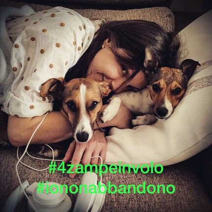 #4zampeinvolo 4 Zampe in Volo - No all'Abbandono