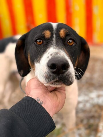 2f7de4ad-3f58-47a0-a0ad-d6369efc65c8