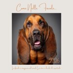 calendario-2026-come-nelle-favole