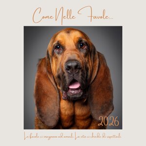 calendario-2026-come-nelle-favole