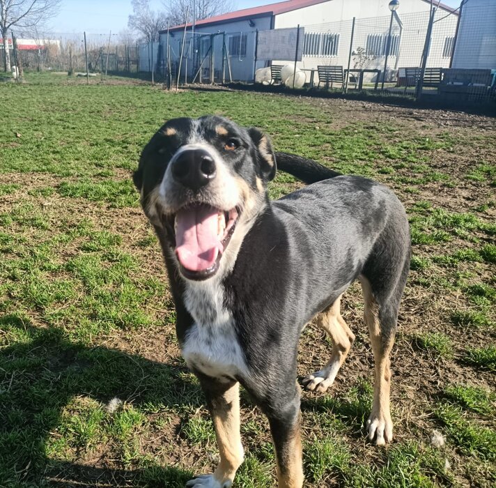 e73aaf40-8d87-4f53-ae1e-345e6f1ebb9f